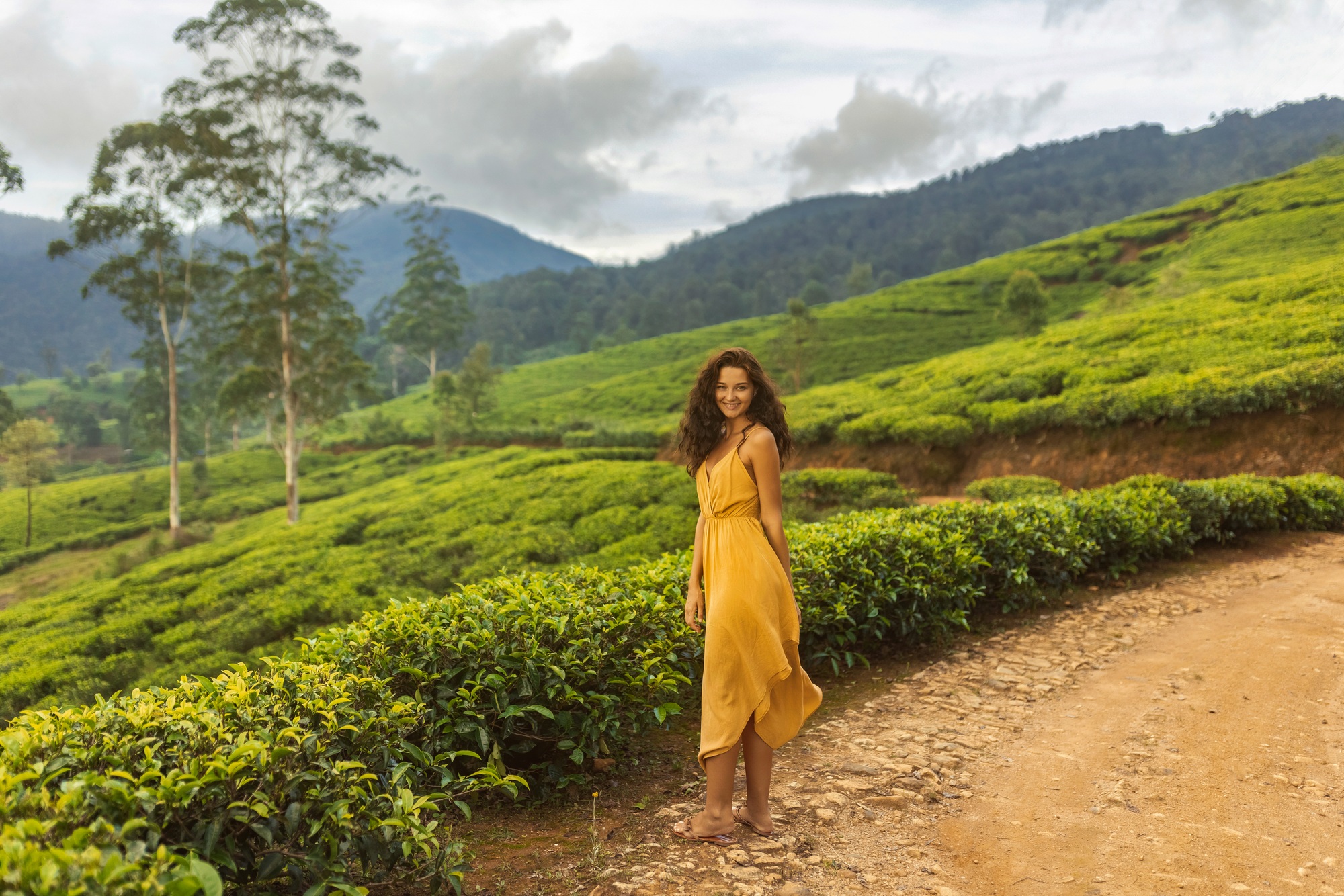 Woman Traveler in Front of Nature Background Tea Plantations Landscape in Sri Lanka
